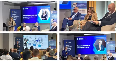 Taxation, Digitalisation and Competitiveness: Challenges for the Future of Businesses in Romania